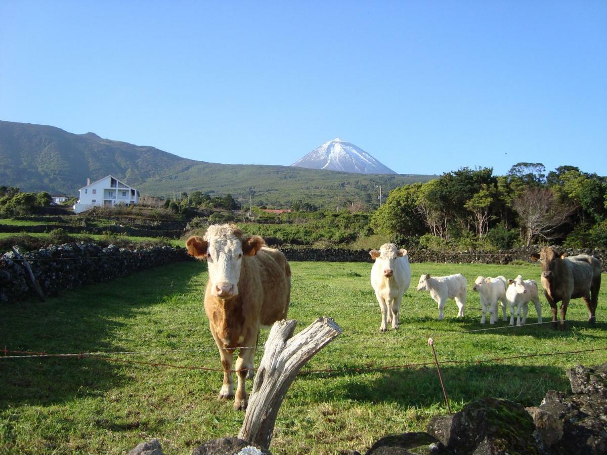 Casa Do Canto São Roque do Pico Eksteriør billede